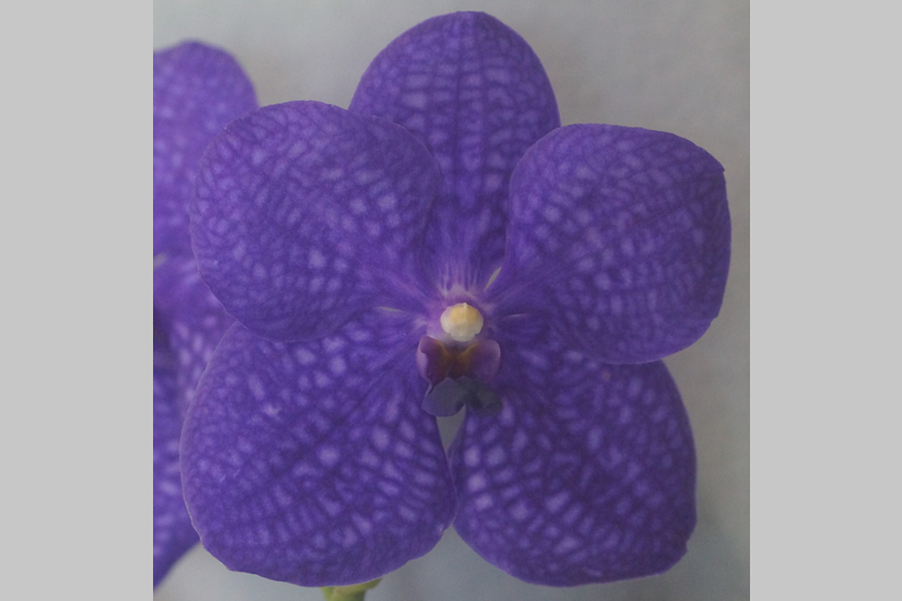 Feature image