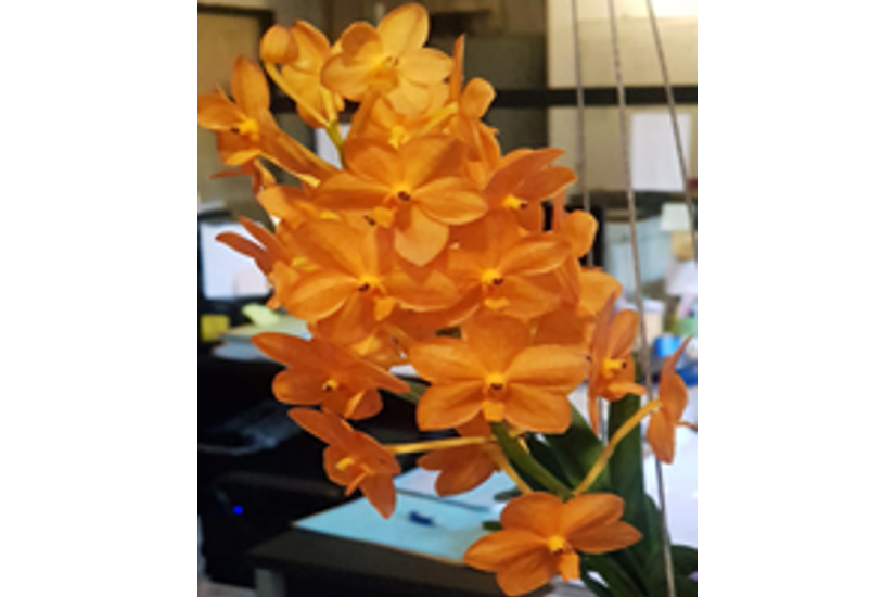 Feature image
