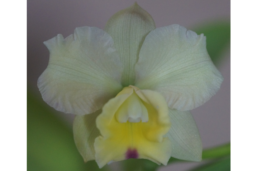 Feature image