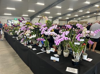 Bundaberg Show 2026