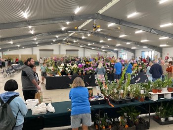 Bundaberg Show 2026 -1