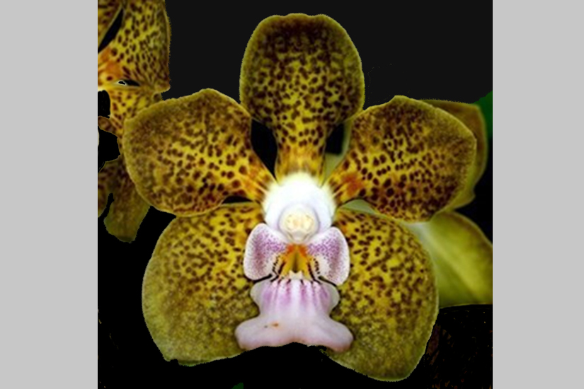 Feature image