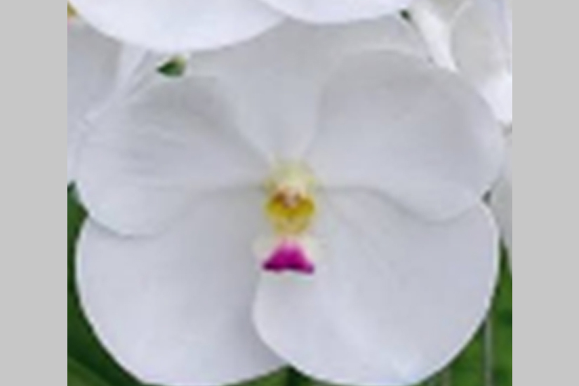 Feature image