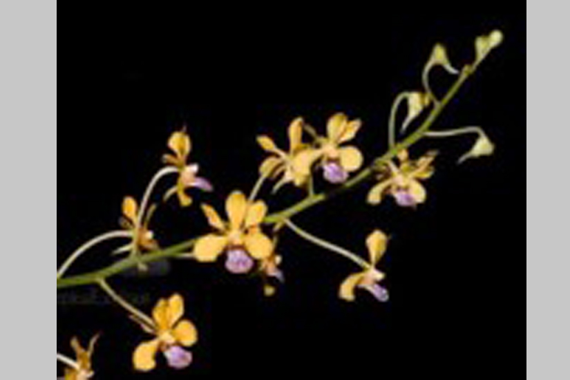 Feature image